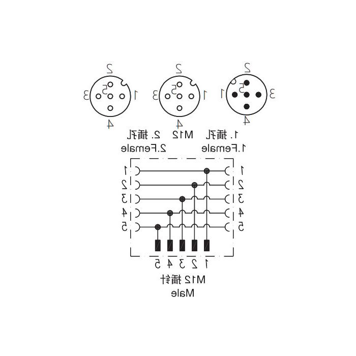 M12 5Pin Male /2M12 5Pin Female, Y-connector, 645551